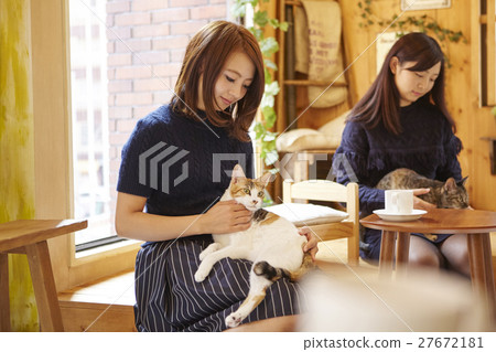 Cat Cafe 27672181