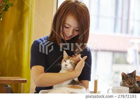 Cat Cafe 27672191