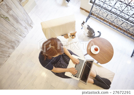 Cat Cafe Cat Cafe 27672291