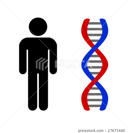 Human and DNA Human and DNA 27673480