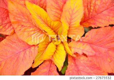 Hagiteito Hagiteito 27673532