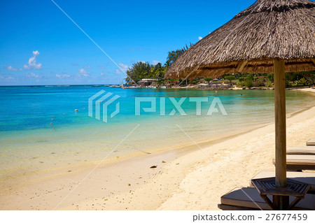 Tropical coast, beach with hang palm trees, Tropical coast, beach with hang palm trees, 27677459