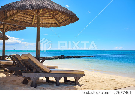 Tropical coast, beach with hang palm trees, Tropical coast, beach with hang palm trees, 27677461