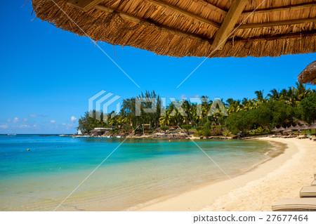 Tropical coast, beach with hang palm trees, Tropical coast, beach with hang palm trees, 27677464