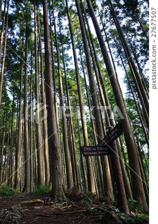 Mossyama河的植樹造林 27677507