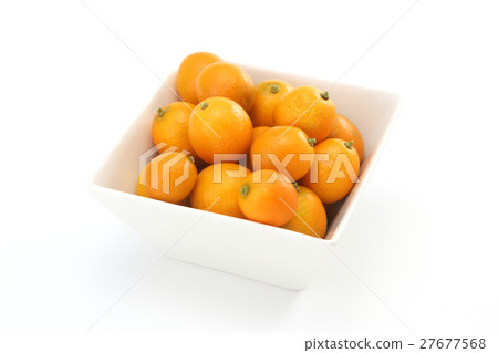 金橘 金橘 27677568