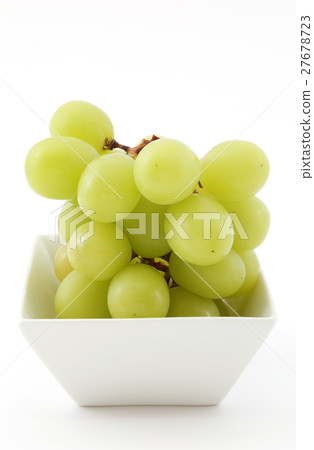 馬斯喀特 27678723