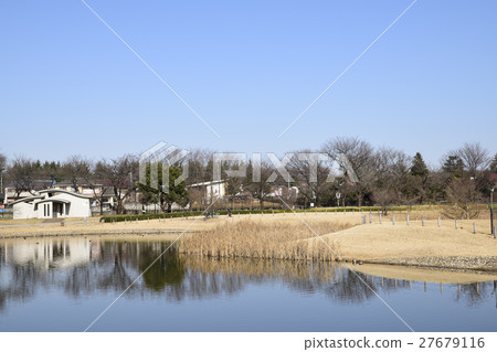 冬季公園 27679116