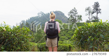 Female tourist enjoying beautiful nature of tea Female tourist enjoying beautiful nature of tea 27679349
