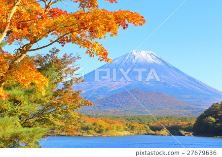 秋天的富士山和秋天的落葉[自然風光] 27679636