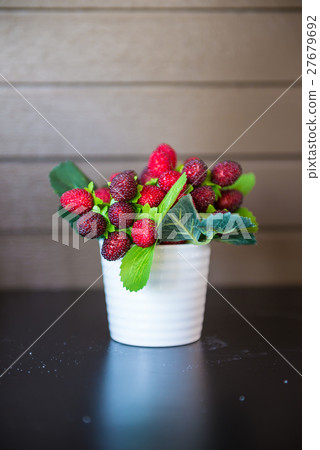Berries used to decorate Berries used to decorate 27679692