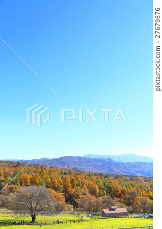 The autumnal leaves of the plateau [Mountains and Mountains] 27679876
