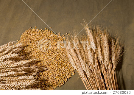 sheaf of wheat and barley on the brown desk sheaf of wheat and barley on the brown desk 27680083
