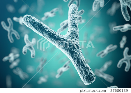 XY-chromosomes on background, medical symbol gene 27680189