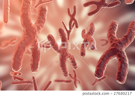 Science background with Chromosomes. Medicine 27680217
