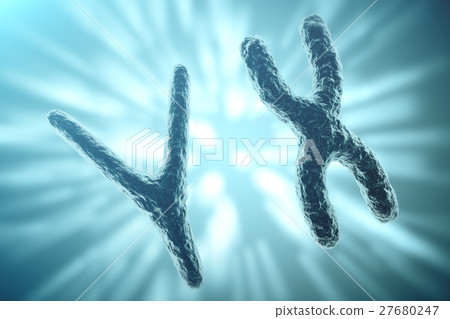 Xy Chromosomes On Background Medical Symbol Gene Stock Illustration