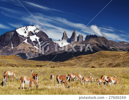 Torres del Paine, Patagonia, Chile 27680269