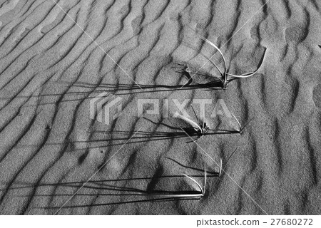 Sand Patterns and More 27680272