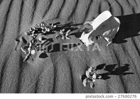 Sand Patterns and More Sand Patterns and More 27680276