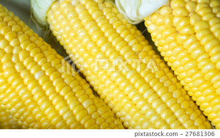 Grains ripe corn Grains ripe corn 27681306