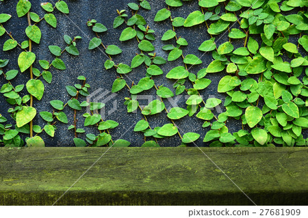Wooden table with nature wall Wooden table with nature wall 27681909