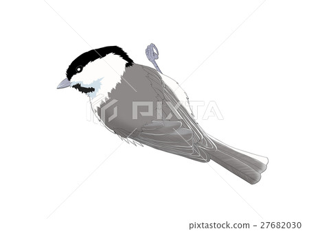 Kogara Kogara 27682030