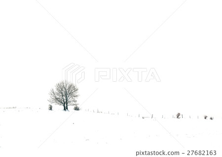 Winter landscape 27682163