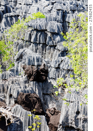 Tsingy rock formations in Ankarana, Madagascar 27682455