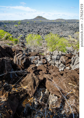 Tsingy rock formations in Ankarana, Madagascar 27682459