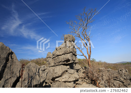 Tsingy rock formations in Ankarana, Madagascar 27682462