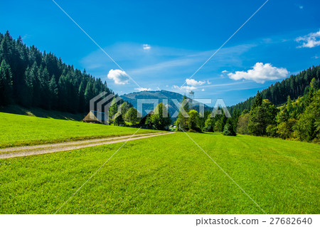 Abandoned Farm in Tree-Covered Valley in Austria 27682640