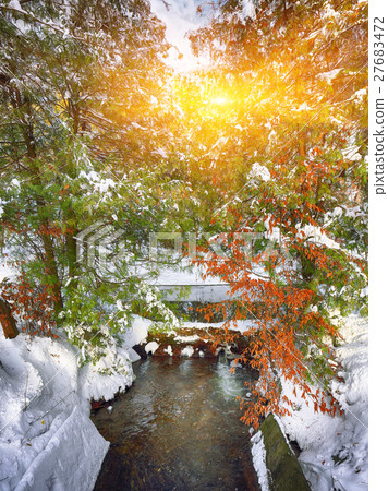 Winter landscape 27683472