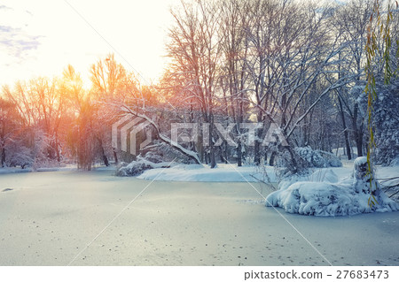 Scenic view of the frozen pond with willow tree 27683473