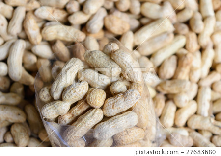 peanut 27683680