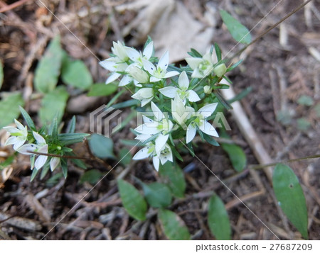 Assembly 2 Assembly 2 27687209