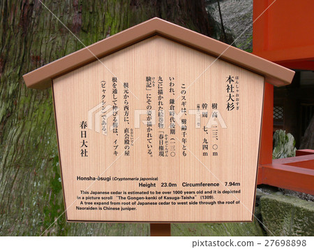 春日大社（Oosugi總店）站立標誌 27698898