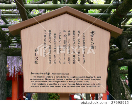 Kasuga Taisha Shrine (wooden sand wood) stand sign Kasuga Taisha Shrine (wooden sand wood) stand sign 27698915