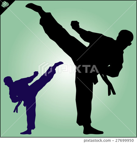 MARTIAL ARTS.Taekwondo karate fighting scene MARTIAL ARTS.Taekwondo karate fighting scene 27699950