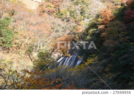 Fukuroda瀑布 27699956