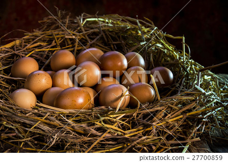 still life eggs in straw on wood background still life eggs in straw on wood background 27700859