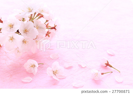 Sakura left · Japanese paper P 03 Sakura left · Japanese paper P 03 27700871