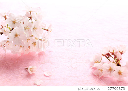 Sakura left · Washi P 05 Sakura left · Washi P 05 27700873