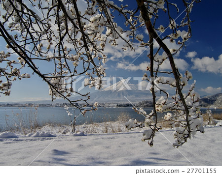 Kawaguchi湖薄雪的早晨 Kawaguchi湖薄雪的早晨 27701155