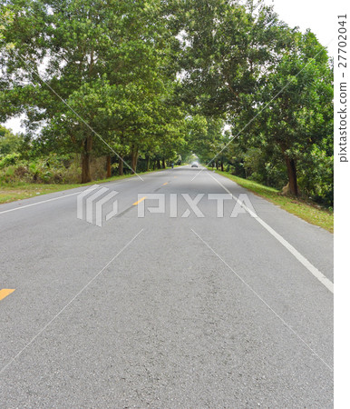 Countryside road with trees Countryside road with trees 27702041