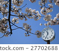 Sakura and watch 27702688