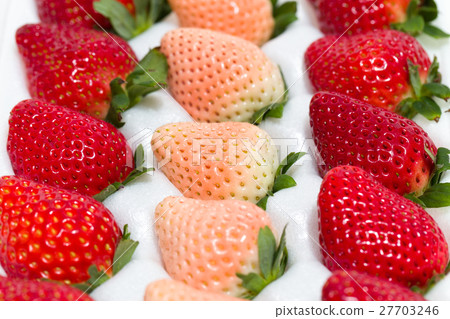 Strawberry  27703246