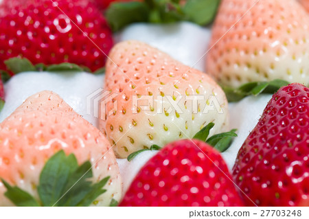 Strawberry Strawberry 27703248