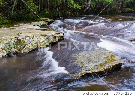 Stream in the tropical forest. Stream in the tropical forest. 27704239