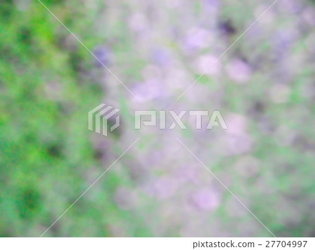 blur and bokeh of green water fern blur and bokeh of green water fern 27704997