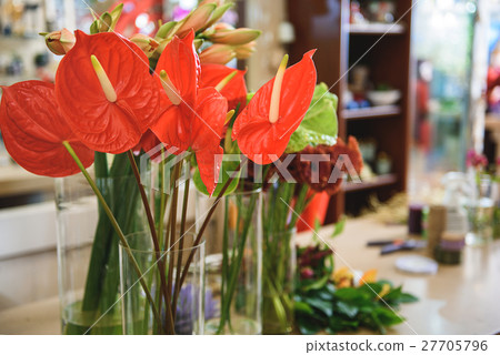 Lovely colorful flowers on counter in store Lovely colorful flowers on counter in store 27705796